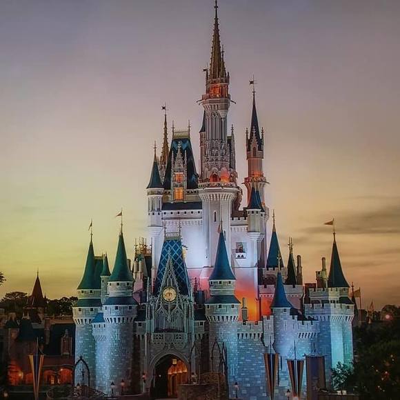 Meet your Posher, Edwina - Picture 1 of 1